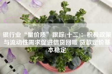 银行业“量价质”跟踪(十二)：积极政策与流动性需求促进信贷回暖 贷款定价基本稳定