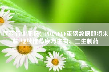 医药行业周报：PD1/VEGF重磅数据即将来临 继续推荐康方生物、三生制药