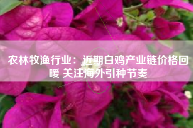 农林牧渔行业：近期白鸡产业链价格回暖 关注海外引种节奏