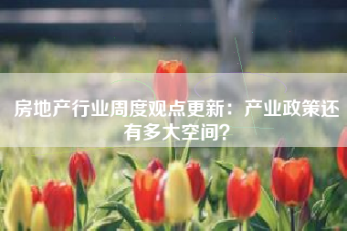 房地产行业周度观点更新：产业政策还有多大空间？