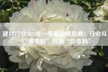建材行业2025年一季报业绩前瞻：行业从“量本利”回到“价本利”