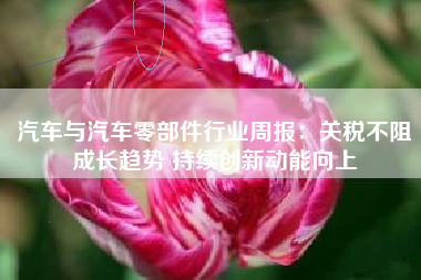 汽车与汽车零部件行业周报：关税不阻成长趋势 持续创新动能向上