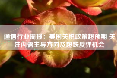 通信行业周报：美国关税政策超预期 关注内需主导方向及超跌反弹机会