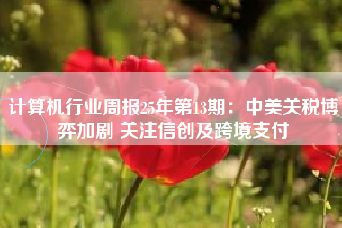 计算机行业周报25年第13期：中美关税博弈加剧 关注信创及跨境支付
