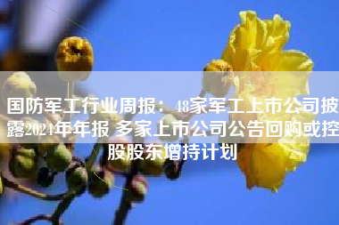 国防军工行业周报：48家军工上市公司披露2024年年报 多家上市公司公告回购或控股股东增持计划