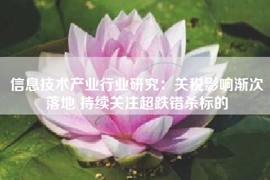 信息技术产业行业研究：关税影响渐次落地 持续关注超跌错杀标的
