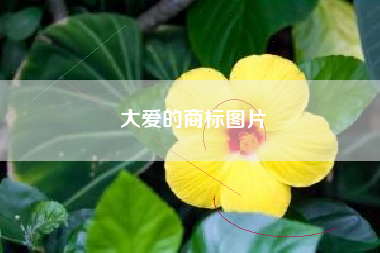 大爱的商标图片