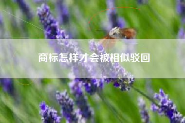商标怎样才会被相似驳回