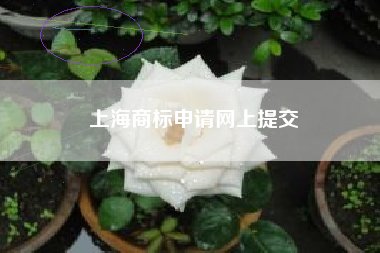 上海商标申请网上提交
