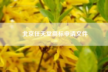 北京任天堂商标申请文件