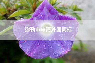 弥勒市申请外国商标 弥勒市申请外国商标