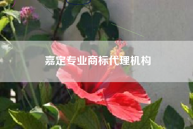 嘉定专业商标代理机构