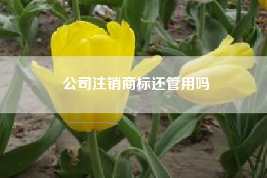 公司注销商标还管用吗