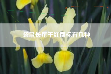 袋鼠长尾干红商标有几种