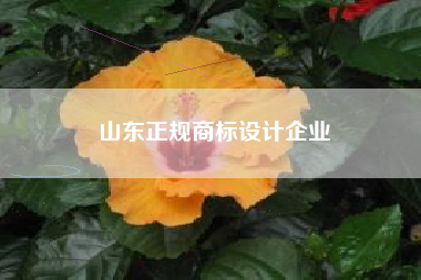 山东正规商标设计企业