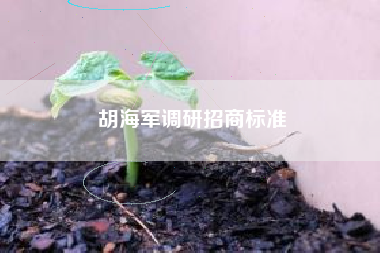 胡海军调研招商标准