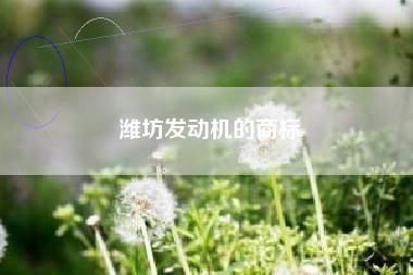 潍坊发动机的商标