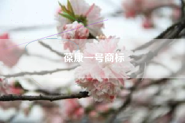 葆康一号商标