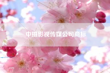 中摄影视传媒公司商标