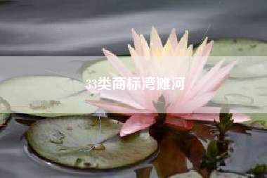 33类商标湾滩河