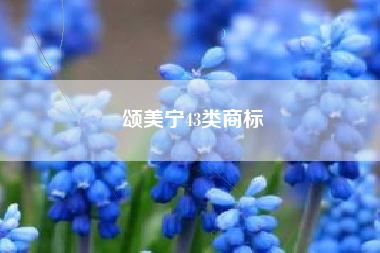 颂美宁43类商标