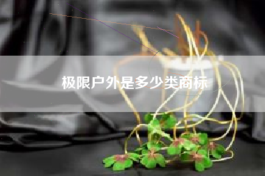 极限户外是多少类商标