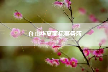 舟山华夏商标事务所