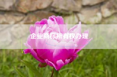 企业商标所有权办理