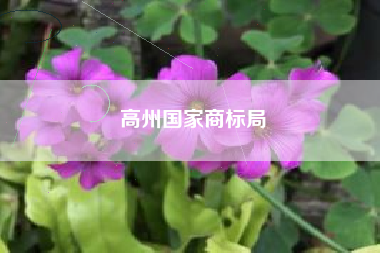 高州国家商标局