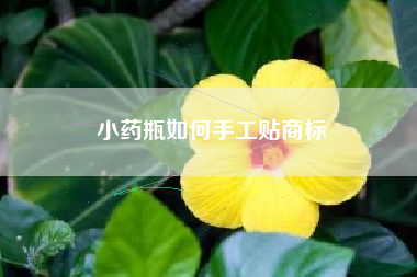 小药瓶如何手工贴商标