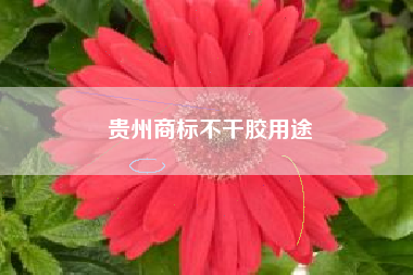 贵州商标不干胶用途