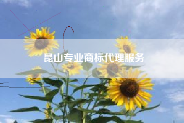 昆山专业商标代理服务