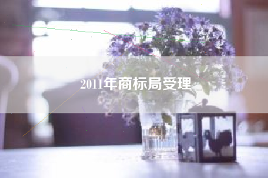 2011年商标局受理
