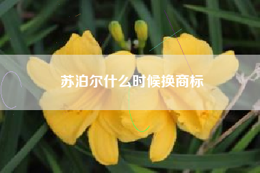 苏泊尔什么时候换商标