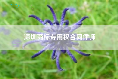 深圳商标专用权合同律师