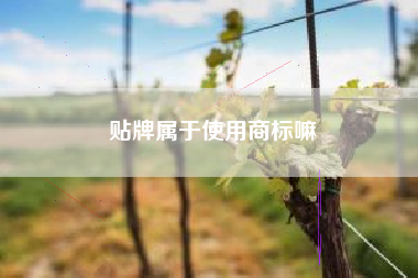 贴牌属于使用商标嘛