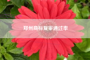 郑州商标复审通过率
