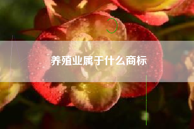 养殖业属于什么商标