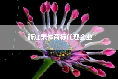 浙江集体商标代理企业