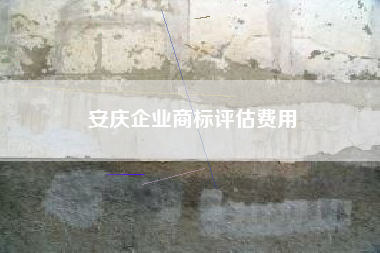 安庆企业商标评估费用