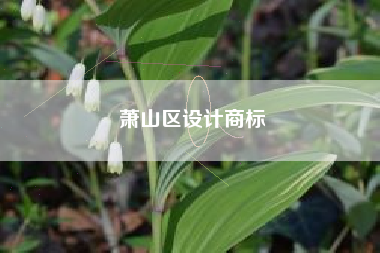 萧山区设计商标