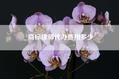 商标律师代办费用多少