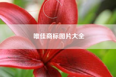 唯佳商标图片大全