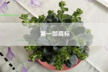 第一部商标