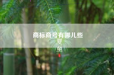 商标商号有哪儿些