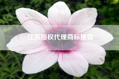江苏授权代理商标推荐