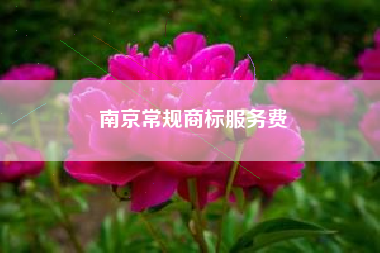 南京常规商标服务费