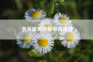 北京服务商标申请推荐