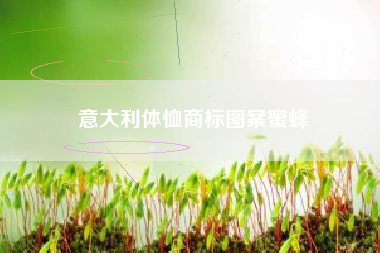 意大利体恤商标图案蜜蜂