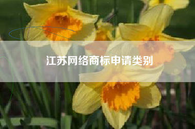 江苏网络商标申请类别